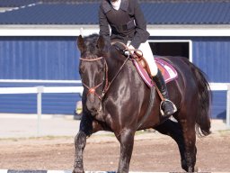 2014 Halloweenstævne